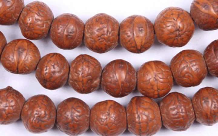 bodhichitta बोधिचित्त फल प्रहरीको नियन्त्रणमा