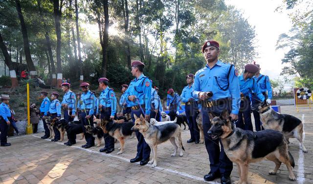 nepal police महोत्तरीका २३२ मतदानस्थल संवेदनशील