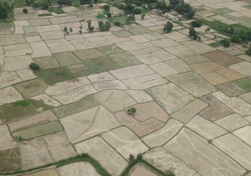 प्रधानमन्त्री केपी शर्मा ओलीले तराई मधेसको सुख्खाग्रस्त क्षेत्रको  अवलोकन